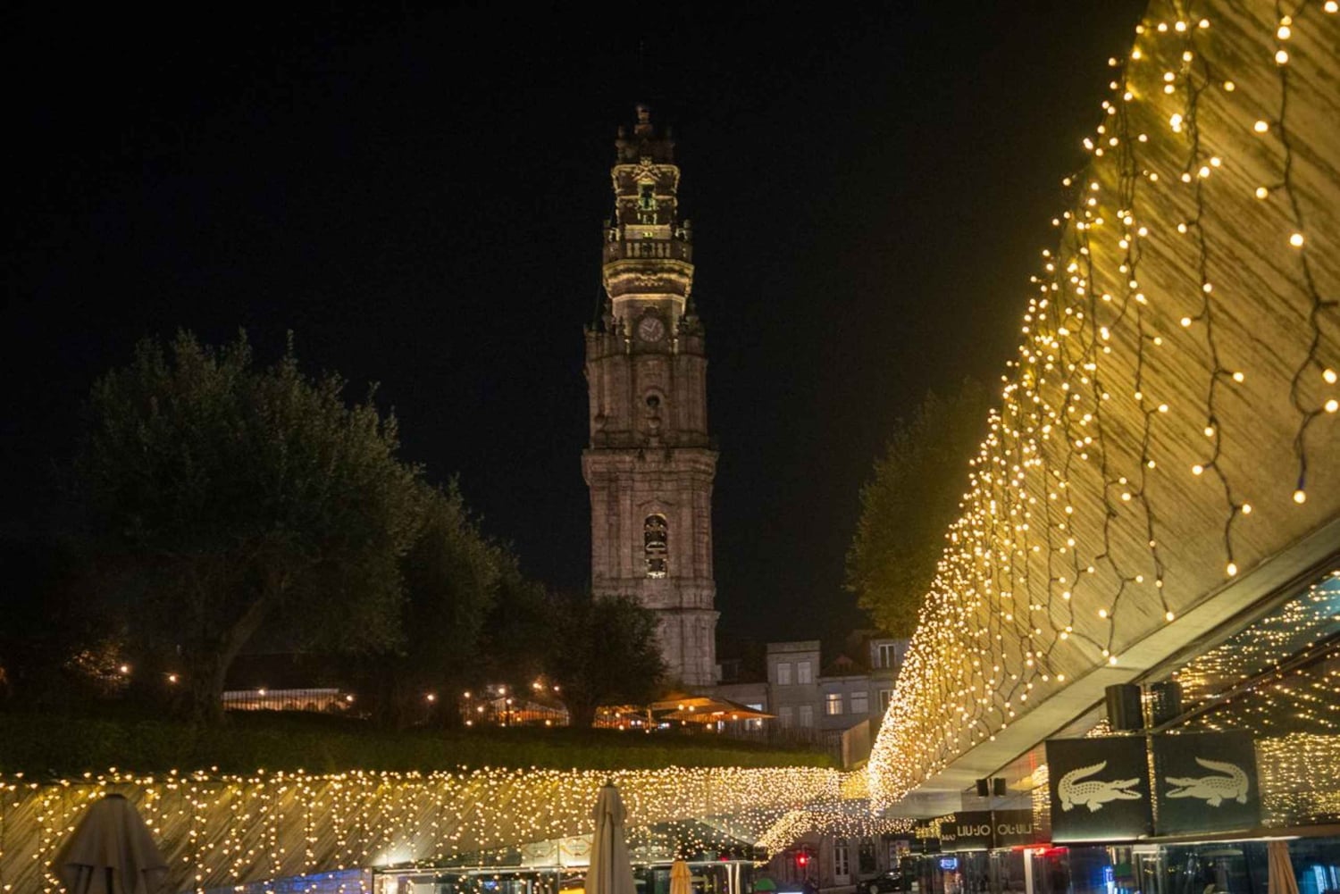 Porto: Christmas Lights Private & Flexible Walking Tour
