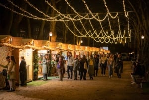 Porto: Christmas Lights Private & Flexible Walking Tour