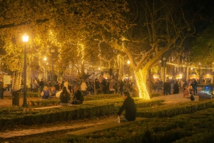 Porto: prywatna i elastyczna wycieczka piesza po świątecznie oświetlonym mieście