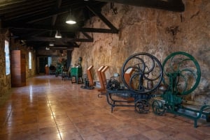 Porto City dagsutflykt med minibuss, vinprovning och sex brigader