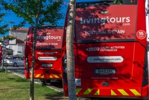 Porto City dagsutflykt med minibuss, vinprovning och sex brigader