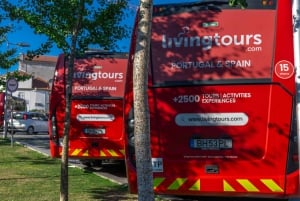 Porto City dagsutflykt med minibuss, vinprovning och sex brigader