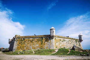 Porto City dagsutflykt med minibuss, vinprovning och sex brigader