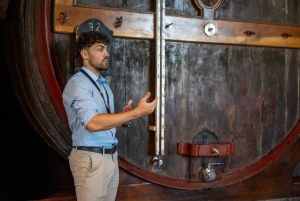 Visita de la ciudad de Oporto en minibús de día completo, cata de vinos y seis brigadas