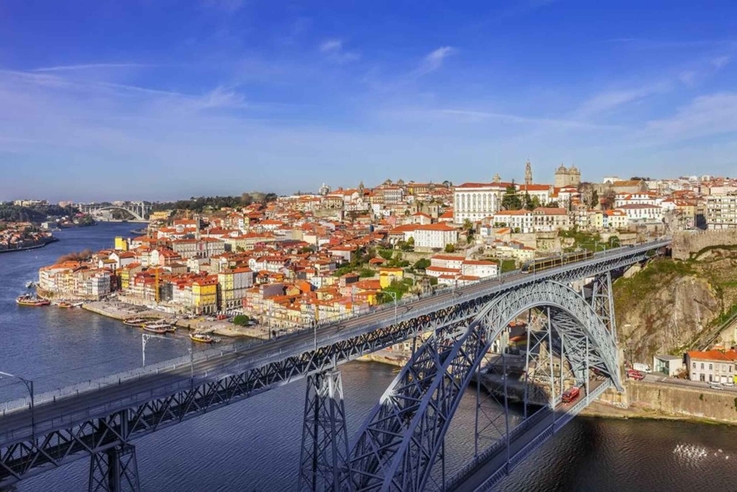 Tour della città di Porto di un giorno intero con degustazione di vino