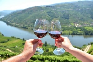 ワインの試飲付きポルト市一日ツアー