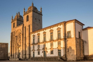Tour della città di Porto di un giorno intero con degustazione di vino