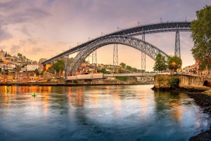 Tour della città di Porto di un giorno intero con degustazione di vino