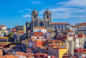 Tour della città di Porto di un giorno intero con degustazione di vino