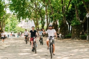 Porto: Highlights in 3 Stunden E-Bike Tour