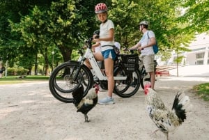 Porto: Highlights in 3 Stunden E-Bike Tour