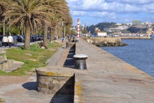 ポルトのハイライトとトラム - プライベートツアー