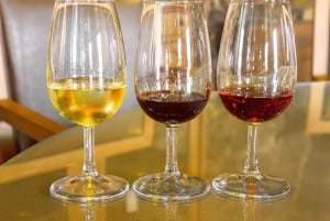Porto: City Tour, Cruzeiro das 6 Pontes e Prova de Vinhos