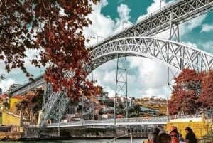 Porto City Tour: Privat dagsutflykt med biljetter inkluderade.