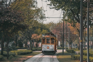 Porto City Tour: Privat dagsutflykt med biljetter inkluderade.