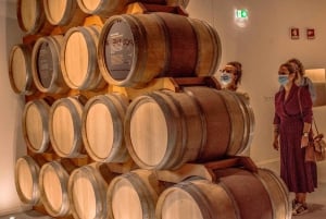 Porto City Tour: Privat dagsutflykt med biljetter inkluderade.