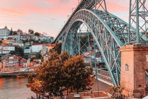 Porto City Tour: Privat dagstur med billetter inkludert.