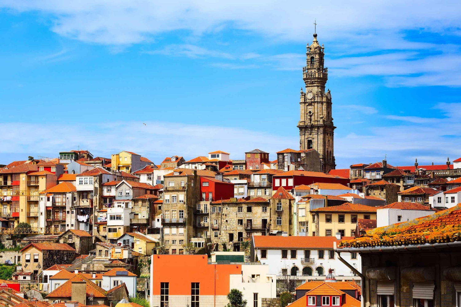 Porto City Tour, Wine Tasting & Douro River 6 Bridges Cruise
