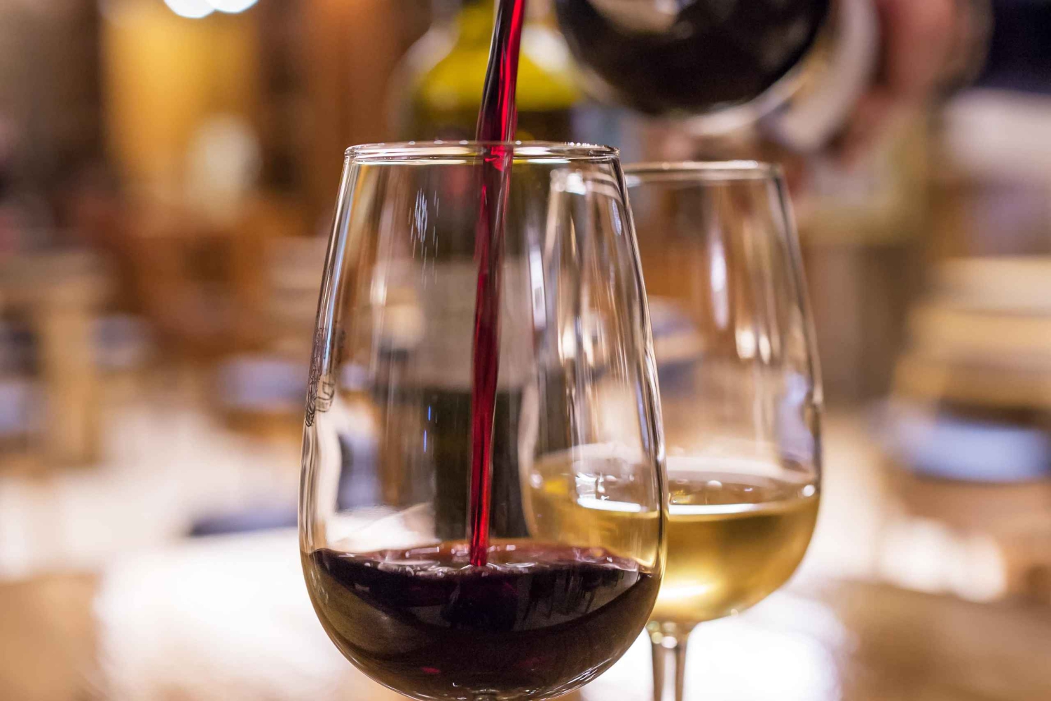 Porto City Tour, Wine Tasting & Douro River 6 Bridges Cruise