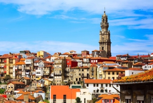 Porto City Tour, Wine Tasting & Douro River 6 Bridges Cruise