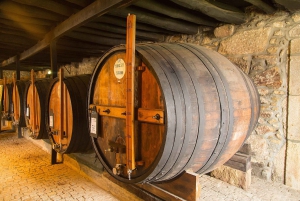 Porto City Tour, Wine Tasting & Douro River 6 Bridges Cruise