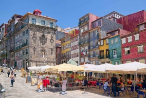 Porto City Tour, Wine Tasting & Douro River 6 Bridges Cruise