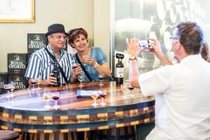 Porto: City Train Tour, Cruzeiro guiado pelo rio e Adega
