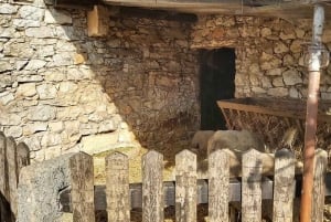 Porto: Tour privato completo al Santuario di Fatima