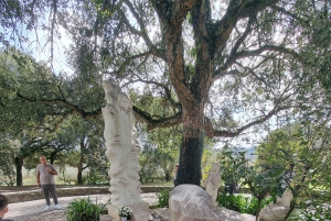 Porto: Tour privato completo al Santuario di Fatima