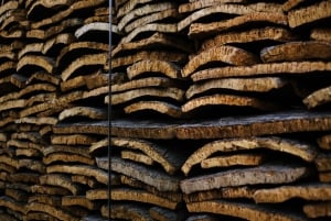 Porto: Korkmuseet: En uppslukande upplevelse som är perfekt för familjer