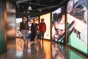 Porto: Cork Museum: Immersive and Perfect for Families