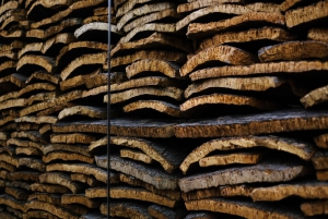 Porto: Cork Museum: Immersive and Perfect for Families