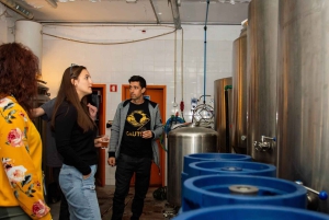 Porto: Craft Beer Proeverij met lokale hapjes