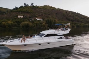 Porto: Ganztägige Douro-Flusskreuzfahrt von Porto nach Régua