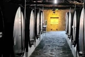 Porto: Billet til rundfart + portvinshuler + fado + middag