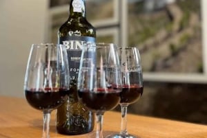 Porto: Billet til rundfart + portvinshuler + fado + middag