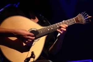 Porto: Billet til rundfart + portvinshuler + fado + middag