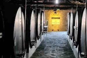 Porto: Cruise, Port Wine Cellars, Fado, and Dinner