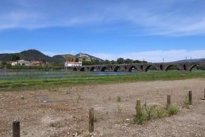 Porto : excursion d'une journée à Barcelos, Ponte de Lima et Braga