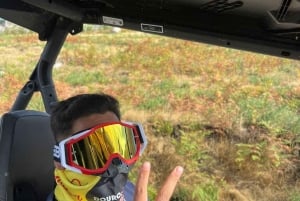 Porto: Buggy-Tour durch die Douro-Berge