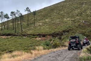Porto: Buggy-Tour durch die Douro-Berge