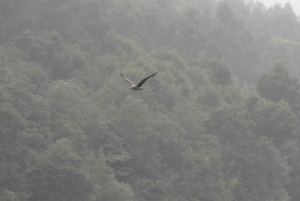 Porto: Douro Nature Boat Tour
