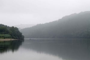 Porto : Excursion en bateau dans la nature du Douro