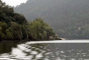 Porto : Excursion en bateau dans la nature du Douro