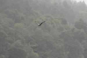 Porto : Excursion en bateau dans la nature du Douro