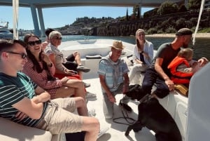 Porto: Crociera in barca sul fiume Douro con degustazione del vino Porto