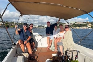 Porto: Crociera in barca sul fiume Douro con degustazione del vino Porto