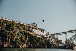 Porto: Crociera in barca sul fiume Douro con degustazione del vino Porto