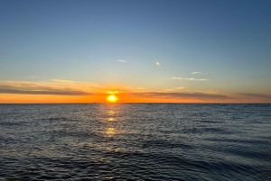 Porto: Wycieczka statkiem po rzece Douro z degustacją wina (mała grupa)