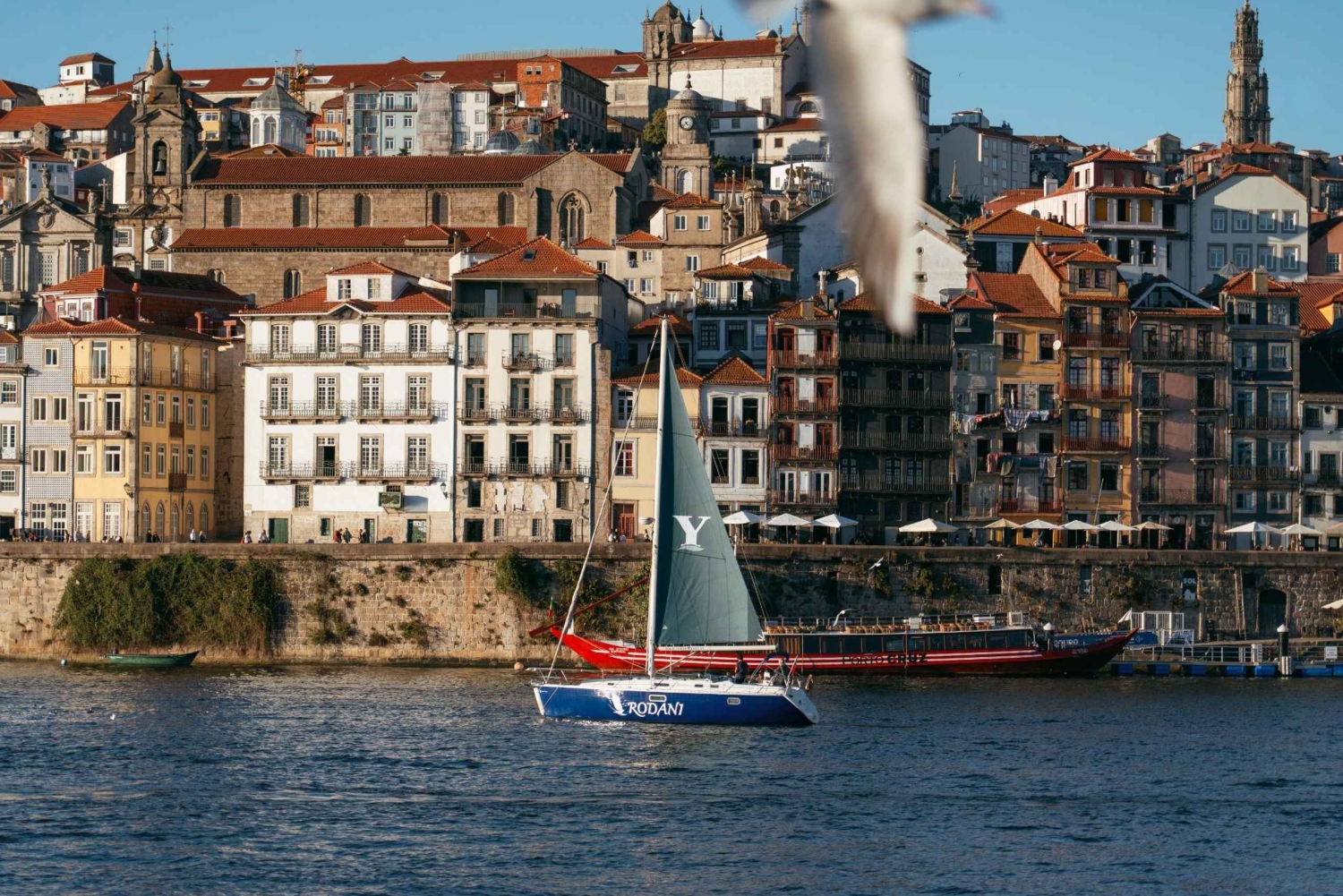 Porto: Rejs po rzece Douro (2 godz.) – wino i malownicze widoki